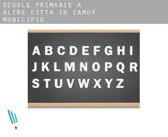 Scuole primarie a  Altre città in Camuy Municipio