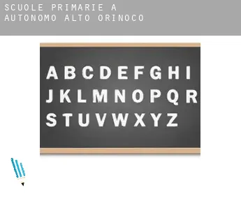 Scuole primarie a  Municipio Autónomo Alto Orinoco