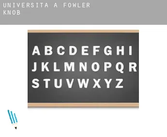 Università a  Fowler Knob