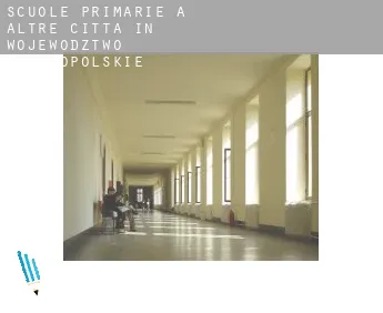 Scuole primarie a  Altre città in Wojewodztwo Wielkopolskie