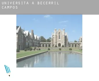 Università a  Becerril de Campos