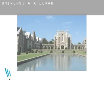 Università a  Bekan
