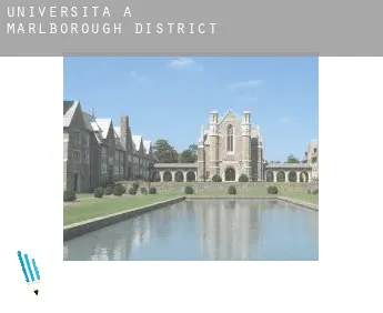 Università a  Marlborough District