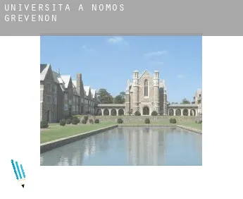 Università a  Nomós Grevenón