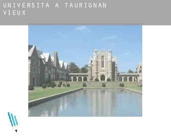 Università a  Taurignan-Vieux