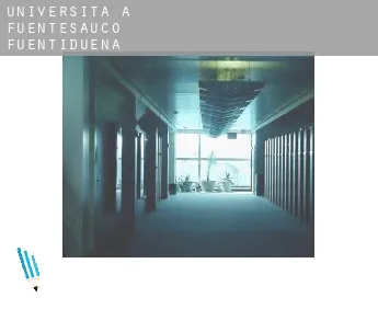 Università a  Fuentesaúco de Fuentidueña