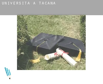 Università a  Tacaná