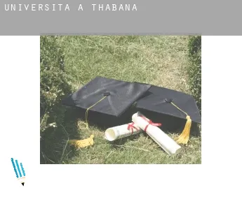 Università a  Thabana