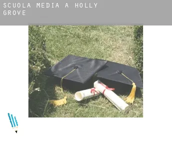 Scuola media a  Holly Grove