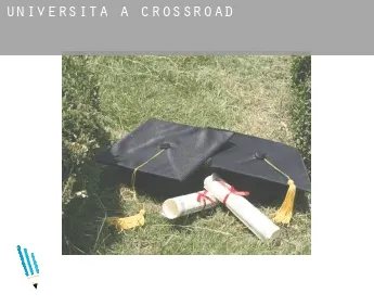 Università a Crossroad