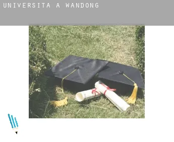 Università a  Wandong