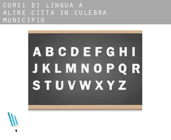 Corsi di lingua a  Altre città in Culebra Municipio