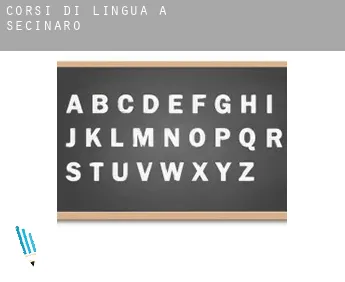 Corsi di lingua a  Secinaro