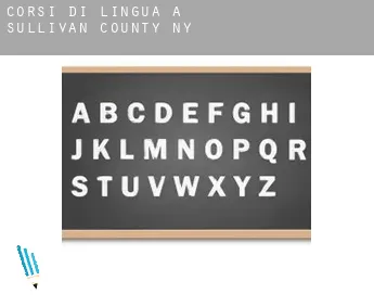 Corsi di lingua a  Sullivan County