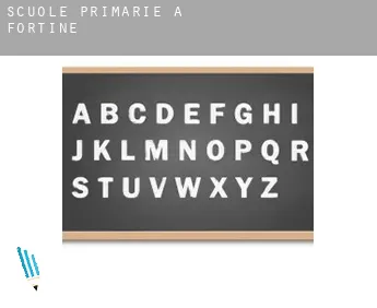 Scuole primarie a  Fortine