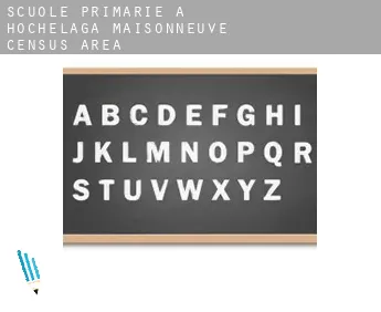 Scuole primarie a  Hochelaga-Maisonneuve (census area)