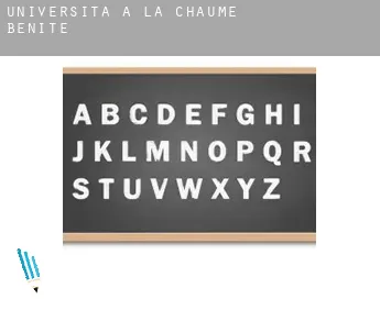 Università a  La Chaume-Bénite