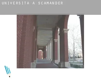 Università a  Scamander