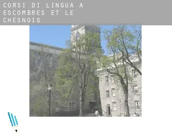 Corsi di lingua a  Escombres-et-le-Chesnois