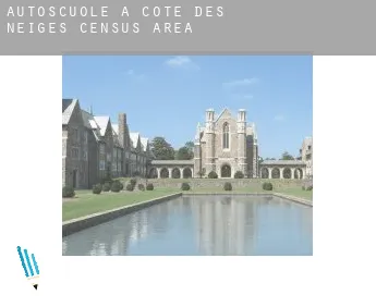 Autoscuole a  Côte-des-Neiges (census area)