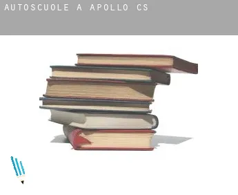 Autoscuole a  Apollo (census area)