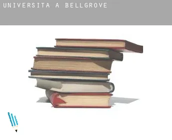 Università a  Bellgrove