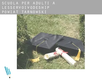 Scuola per adulti a  Powiat tarnowski (Lesser Poland Voivodeship)