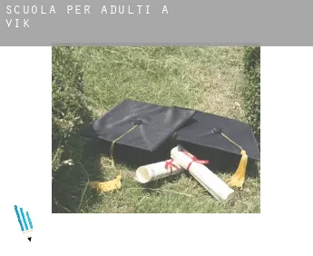 Scuola per adulti a  Vik