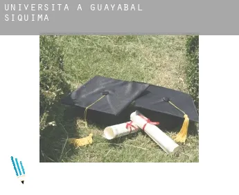 Università a  Guayabal de Síquima
