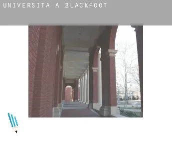 Università a  Blackfoot