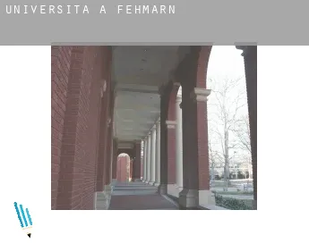 Università a  Fehmarn