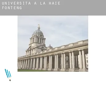 Università a  La Haie-Fonteng