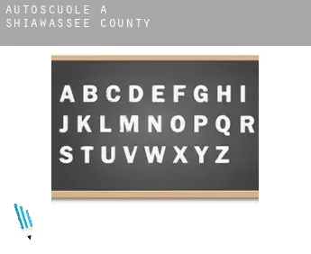 Autoscuole a  Shiawassee County
