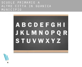 Scuole primarie a  Altre città in Guanica Municipio