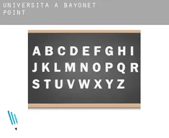 Università a  Bayonet Point