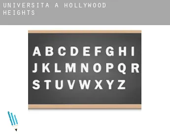 Università a  Hollywood Heights