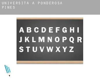 Università a  Ponderosa Pines