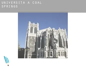 Università a  Coal Springs